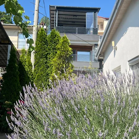 Tatjana Apartment