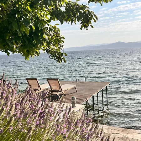 Tatjana * Struga